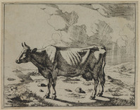 TvB G 0463
<br/>
Staande koe (met de kop naar links)
<br/>
<em>Bije, Marcus de (1639-ca. 1690)</em>